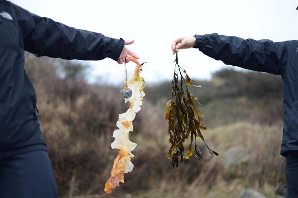 Natur oplevelser ferie Blushøj Camping